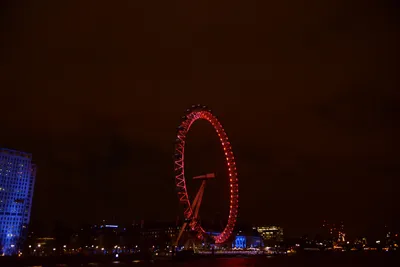 DSC_5714 (Large).JPG